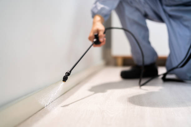 Licensed Termite Control service in Glenarden, MD - Nex Pest Control