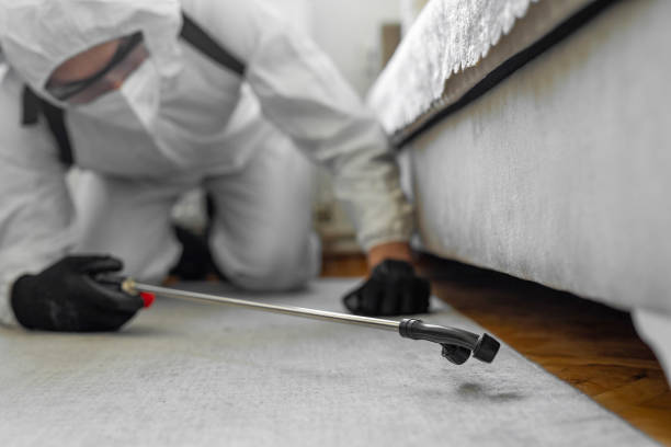Professional Termite Control technician working in Glenarden, MD