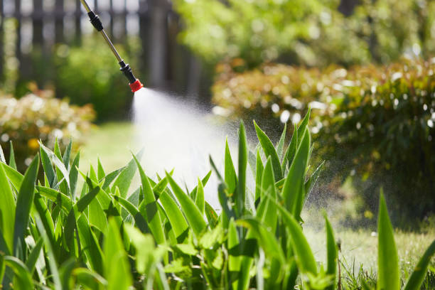 24/7 Emergency Termite Control experts in Glenarden, MD