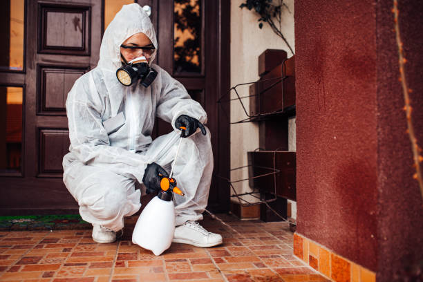 Reliable Termite Control contractor in Glenarden, MD by Nex Pest Control